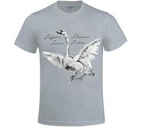 FOPJRUISDAEL Sufjan Stevens Seven Swans Printed T Shirts for Men Crew Neck Grey 3XL