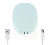 Foppla Toothbrush Case USB Rechargeable Travel Toothbrush Case with Transparent Stand Portable Toothbrush Cover Case for Home Traveling Business Trip(Sky Blue)