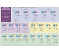 FOPURE Biology Study Aid Amino Chart with Genetic Code Educational Science Wall-Art(Framed,12x18inch(30x45cm))
