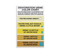 FOPURE Body Hydration Level Guide Chart Abstract Wellness Art Print Canvas Wall-Art for Modern Bathroom Gym and Home Office Decor(Unframed,12x18inch(30x45cm))