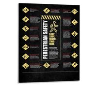 FOPURE Community Poster - Pedestrian & Bicycle Rules Educational Chart, Informational Wall-Art for Public Libraries, Clinics, Office Bulletin Boards(Framed,16x24inch(40x60cm))