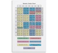 FOPURE Genetic Code and Amino Acids Chart - Science Biology Educational Poster for Office Study Room Decor(Unframed,16x24inch(40x60cm))
