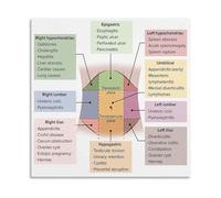 FOPURE Healthcare Training Tool Abdominal Assessment Poster Quadrants Reference Guide for Students Canvas Art(Unframed,12x18inch(30x45cm))