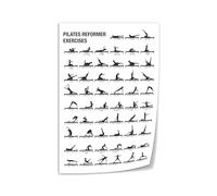 FOPURE Professional Pilates Reformer Chart, Wall Poster for Correct Form, Canvas Art for Yoga Room, Physical(Framed,16x24inch(40x60cm))