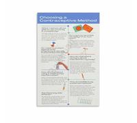 FOPURE Public Health Poster Contraception and Birth Control Guide Canvas Wall-Art for Training Facility Use(Framed,16x24inch(40x60cm))