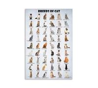 FOPURE Ultimate Cat Breeds of the World Chart - Vintage Style Knowledge Poster, Gift for Cat Owners, Veterinarians & Animal Lovers(Unframed,12x18inch(30x45cm))