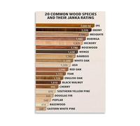 FOPURE Woodworker Reference Poster - Janka Hardness Scale Chart, Wood Species Comparison Guide with Test Ratings, Workshop Studio Wall-Art(Framed,16x24inch(40x60cm))