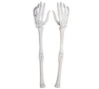 Fopytu Halloween Skull Claw Arm 1 Pair Realistic Skeleton Hands Bone Plastic Fake Human Hand Bone Scary Ornament for Halloween Decor
