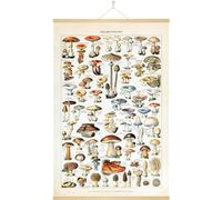 Fopytu Vintage Mushroom Poster Rustic Retro Wall Hanging Mushroom Art Prints Illustrative Reference Chart Poster for Bedroom Living Room Office