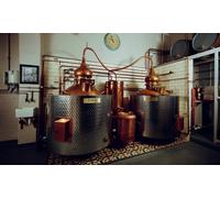 FOR 2: Gin Tasting Tour Experience