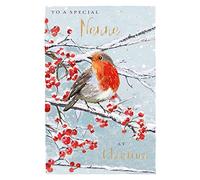 for A Special Nanna Festive Winter Robin Christmas Card Xmas Greeting Cards X14854GH