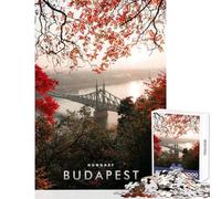for Adults 1000 Piece Jigsaw Puzzle Budapest River Danube Shared Joyful Home Experience Wonderful Festive (38X26cm)