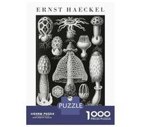 for Adults 1000 Piece Jigsaw Puzzle Ernst Haeckels Nature Forms Jigsaw Brain Teaser Game Home Decoration Unique Birthday And Xmas Gifts 52x38cm/1000pcs
