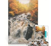 for Adults 1000 Piece Puzzle Black Linn Falls Hermitage, Hands-on Game, Interesting Stress Reduction, Unique Birthday And Gifts 50x75cm