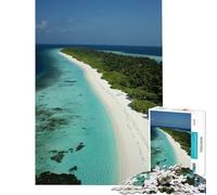 for Adults 1000 Piece Puzzle Tropical Island Beach Help The Brain Exercise Staycation Kill Time Family Games for And 14 Years And over (50x75cm)