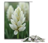 for Adults 1000 Piece The Snow-white Reeds Sway in The Windr Jigsaw Puzzles for Adults Wood Puzzle Difficult And Challenge 1000 PCS(38x26cm)