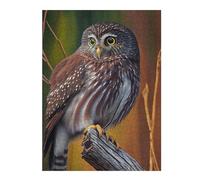 for Adults 52x38cm/1000pcs Jigsaw Puzzle Northern Pygmy Owl Jigsaw for Adults Toy Wall Decor Perfect Decoration Unique Birthday And Xmas Gifts 52x38cm/1000pcs
