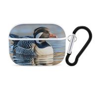 for Airpod Pro Case with Keychain Accessories Hard Shell Protective Cover Loon Nature Birds Headphone Cases Compatible with Airpod Case 2nd/1st Generation, Front LED Visible