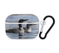 for AirPods Pro Case Cover Loon Birds AirPods Pro 2/Pro Case Accessories with Keychain Front LED Visible Supports Wired Or Wireless Charging