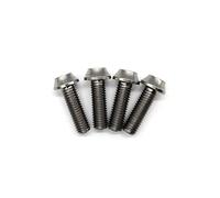 For Arashi Rearsets Universal Replacement Bolts Screws Titanium alloy M8 x 25mm x 1.25 mm Pitch Hex Allen Socket Head Pack of 4 Titanium Gray