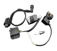 For ATV Quad For 150 200 250 Cc Motorcycle Engines CDI Ignition Units Ignition Coil 6 Pin AC CDI Regulator Rectifier Relay Magneto Ignition Coil Rotor