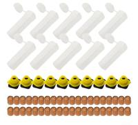 for beekeeping Queen Rearing Box Set with 10 Cages for beekeeping