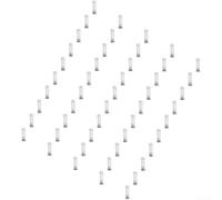 for beekeeping Queen Rearing Tools 50 Pack Secure Lock for | Protects developing for queens, prevents worker destruction, secure fit, essential for swarm control, apiary management