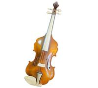 for Beginners Violin Unique Design No Rib Violin 4/4 Big Bright Sound