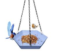 for Birds | Dish for Wild Animals with Drinker - Decorative Drinker for Terrace Balcony Patio Park Bird Watching