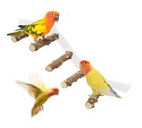 For Birds with Bird Meal | Shower Bass for - Climb the Ramp for Parakeets | Non Slip Swollen Perch for Indoor and Outdoor Use of Bird Beetles