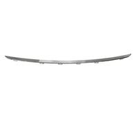 PRASCO BM0311245 Bumper moulding