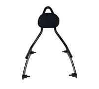 For Bobber Dark Horse 2022 2023 Motorcycle Accessories Passenger Rear Backrest Classic Retro