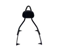 For Bobber Dark Horse 2022 2023 Motorcycle Accessories Passenger Rear Backrest Classic Retro Rear Racks