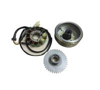 For CBT250 CA250 DD150 DD250 ATV250 Motorcycle Magnetic Motor Ignition Coil Stator Rotor 253FMM Double Cylinder