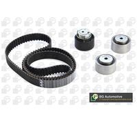 FOR CITROËN C5 C6 3.0 HDi ENGINE DT20C DIESEL TIMING BELT KIT