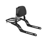 For CL250 CL500 SCL500 CL300 2023 2024 Motorcycle Detachables Rear Backrest Luggage Rack Pad