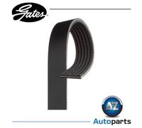 GATES 6PK1175 Serpentine belt