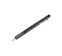 for Delphi EJBR03301D EJBR03701D EJBR05301D EJBR02801D EJBR02901D EJBR06101D Common Rail Diesel Injector Fuel Injector Nozzles(EJBR02901D)