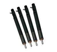 for Delphi for Kia for Bongo 3 2.9L for CRDI EJBR02501Z 4PCS for EJBR03001D 33800-4X900 Diesel Fuel Injector Nozzle Engine Fuel Injection Nozzle