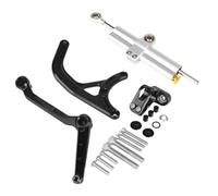 for Ducati for Multistrada V4 Rally Pikes Peak Titanium Ruler Directional Damper Bracket Accessories Motorcycle Direction Damper Steering Damper Adjustable Stabilizer(Silver-B)
