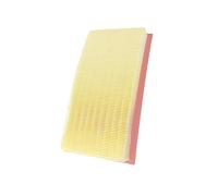 For Edge OE:7T4Z9601A 1AMFA00039 FA-1884 FA-1884 CA10242 5176WS XA5699 1/2/5PCS Engine Air Filter Suitable Air Filter