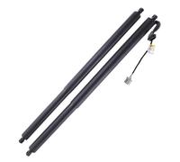 For Escape C520 2013-2019 RH Tailgate Gas Spring Struts LH Tailgate Power Lift Supports CJ54S402A55AD CJ5Z78406A10B Electric Liftgate Struts(Onecolor)