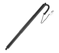 For Expedition U553 2018-2020 Tailgate Power Lift Gas Spring Struts Left Right General KL1Z14B351A Electric Liftgate Struts(RH)