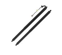 For For Escape 2013- Liftgate Power Hatch Shock Strut