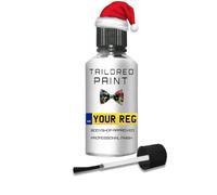 For Ford Mixed To Code Touch Up Paint 30ml 2k Basecoat Scratch Chip - Any Colour Just Leave Your Chassis Number or Paint Code (Touch Up Paint Pen)
