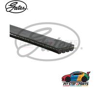 For Ford Mustang Alternator Belt Gates 4PK1745XS Black Premium Graded 2015-2023