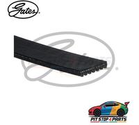 For Ford Transit Alternator Belt Gates 7PK2968 Black EPDM 2968 mm 2013-2018