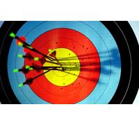 For FOUR: 90 minutes Target Archery experience