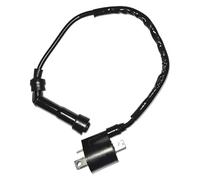 For GRIZZLY For YFM660 2002-2008 Motorcycle CDI BOX Igniter Ignition Coil Module Magneto Stator Plate