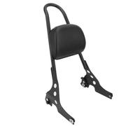 For Harley Sportster XL 883 1200 2004-2023 Motorcycle Detachable Rear Passenger Backrest Cushion Pad(Black)